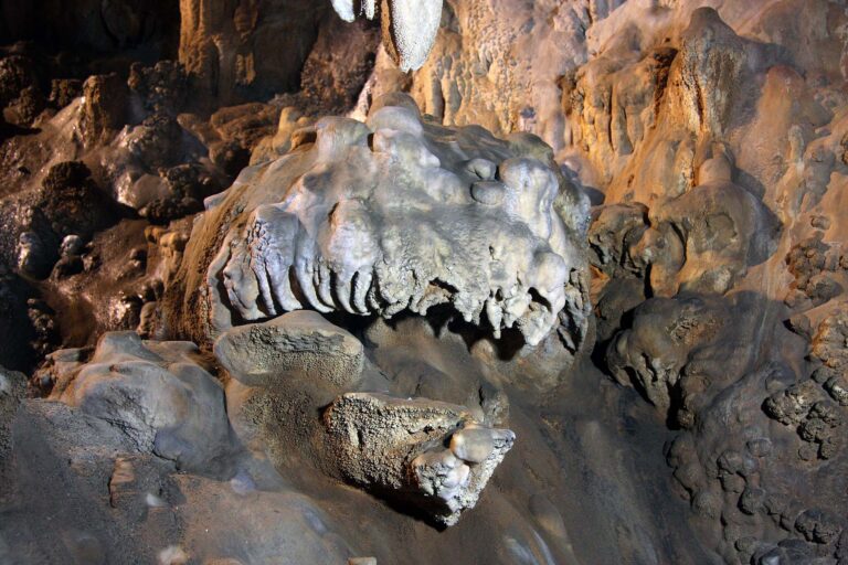 La Grotta delle Meraviglie cambia prospettiva: al centro la tutela del patrimonio